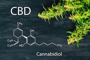 CBD OIL TRADEMARK